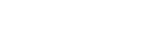 Business Consultant